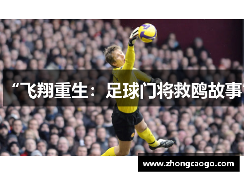 “飞翔重生：足球门将救鸥故事”